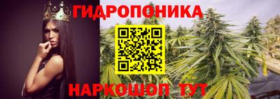 соль ск Рузаевка