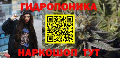 PSILOCYBIN Северобайкальск